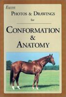 Equine Photos & Drawings for Conformation & Anatomy 0935842136 Book Cover