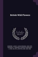 British Wild Flowers 1018593373 Book Cover