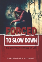 FORCED TO SLOW DOWN: THE BUST THAT CHANGED MY LIFE 1733570004 Book Cover