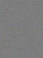The Cyclopes 158415926X Book Cover