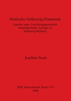 Haithabu-Schleswig-Danewerk: Aspekte einer Forschungsgeschichte mittelalterlicher Anlagen in Schleswig-Holstein (BAR international series) 086054558X Book Cover