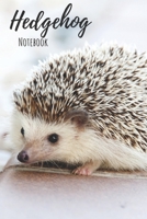 Hedgehog Notebook: 120 pages, 6x9 - Cute Little Hedgehogs and Leaves College Ruled Notebook for Writing Notes... for Girls, Kids, School, Students and Teachers (Hedgehog Gifts) 1708544593 Book Cover