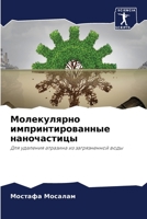 Молекулярно импринтированные наночасти&# 6204143786 Book Cover