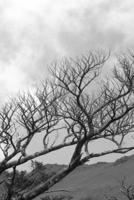 Inspiration 47: The Final Ride B0917P4ZRX Book Cover