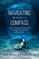 Navigating Without a Compass: Tools to Survive the Challenges of an Adopted Child with Special Needs 173423170X Book Cover
