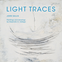Light Traces (Studies in Continental Thought) 0253012821 Book Cover