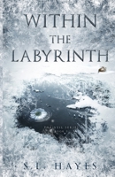 Within the Labyrinth (Veil) 0992104920 Book Cover