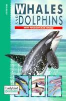 Whales & Dolphins (Discovery) 0721417434 Book Cover