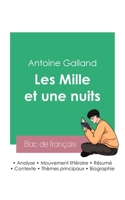 Réussir son Bac de français 2023: Analyse des Mille et une nuits de Antoine Galland 2385092794 Book Cover