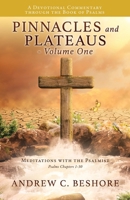 Pinnacles and Plateaus - Volume One: Meditations with the Psalmist 1662839693 Book Cover