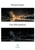 Une folle jeunesse (French Edition) B08CWB7N7D Book Cover