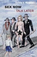 Sex Now, Talk Later 1782205217 Book Cover