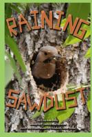 Raining Sawdust: Whittlin' Wood Down Jefferson Highway 1492711713 Book Cover
