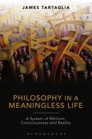 Philosophy in a Meaningless Life: A System of Nihilism, Consciousness and Reality 1350017515 Book Cover