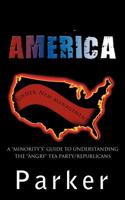America, Under New Management: A Minority's Guide to Understanding the Angry Tea Party/Republicans 1456768972 Book Cover