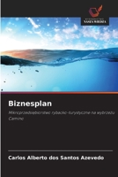 Biznesplan 6209127282 Book Cover