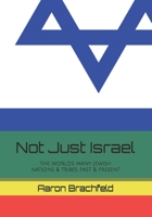 Not Just Israel: the world’s many Jewish nations & tribes, past & present B0B9R2MCM2 Book Cover