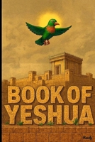Book of Yeshua: A Revelation of Our Spirit Vol III B0G6XMPVNR Book Cover