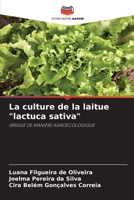 La culture de la laitue "lactuca sativa" (French Edition) 620938465X Book Cover