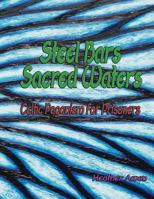 Steel Bars, Sacred Waters: Celtic Paganism for Prisoners 1548445258 Book Cover