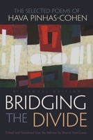 Bridging the Divide 0815610548 Book Cover