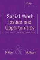 Social Work: Issues and Opportunities in a Challenging Profession 0925065862 Book Cover