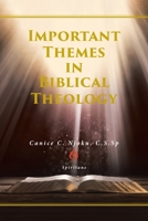 Important Themes in Biblical Theology 1098002644 Book Cover