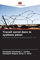 Travail social dans le système pénal (French Edition) 6208115396 Book Cover