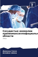 Сосудистые аномалии ... 6205973197 Book Cover