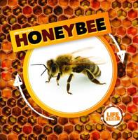 Life Cycle of a Honeybee 1534527281 Book Cover