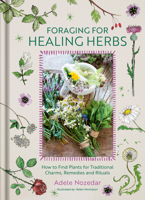 Foraging for Healing Herbs: How to Find Plants for Traditional Charms, Remedies and Rituals 1836810210 Book Cover