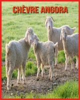 Chèvre Angora: Images Incroyables et Informations Amusantes concernant les Chèvre Angora B08WJW5Q4M Book Cover