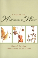 A Guide to Wildflowers in Winter: Herbaceous Plants of Northeastern North America 0300065604 Book Cover
