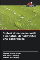 Sintesi di nanocompositi a nanotubi di halloysite: una panoramica (Italian Edition) 6209493149 Book Cover