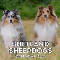 Shetland Sheepdogs: 2021 Calendar, Cute Gift Idea For Sheltie Lovers Or Owners Men And Women null Book Cover