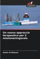 Un nuovo approccio terapeutico per il mielomeningocele 6205843986 Book Cover