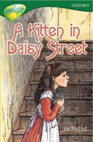 A Kitten in Daisy Street 0199186855 Book Cover