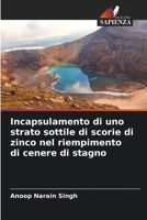 Incapsulamento di uno strato sottile di scorie di zinco nel riempimento di cenere di stagno 6207398556 Book Cover