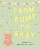 From Bump to Baby: A record book of pregnancy and beyond 1782496661 Book Cover