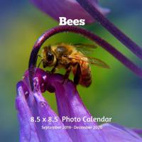 Bees 8.5 X 8.5 Photo Calendar September 2019 -December 2020: Monthly Calendar with U.S./UK/ Canadian/Christian/Jewish/Muslim Holidays-Bees Insects Nature 1075567165 Book Cover