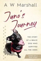 Juno's Journey B0C6VSX13L Book Cover