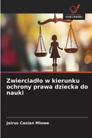 Zwierciadlo w kierunku ochrony prawa dziecka do nauki (Polish Edition) 6209970818 Book Cover