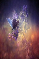 Schmetterling im Licht Notizbuch: SchmetterlingsNotizbuch modernes und auff�lliges Notizbuch kariert 120 karierte Seiten Din A5 perfekt als Notizheft, Tagebuch und Journal Geschenk f�r Frauen und M�dc 1712433741 Book Cover