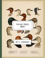 Vintage Prints: Birds 1987746139 Book Cover