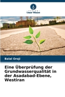 Eine Überprüfung der Grundwasserqualität in der Asadabad-Ebene, Westiran (German Edition) 620810355X Book Cover