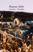 Planner 2020 Gennaio - Dicembre: Agenda mensile e settimanale A partire dal 1 gennaio al 31 dicembre 2020, copre i calendari per il 2019, 2020, 2021, ... Campo al Tramonto) (Italian Edition) 1674396686 Book Cover