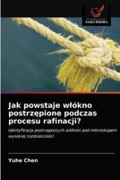 Jak powstaje włókno postrzępione podczas procesu rafinacji?: Identyfikacja postrzępionych włókien pod mikroskopem wysokiej rozdzielczości 6202742992 Book Cover