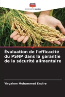 Évaluation de l'efficacité du PSNP dans la garantie de la sécurité alimentaire (French Edition) 6209888151 Book Cover