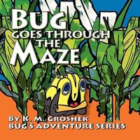 Bug Goes through the Maze 0984352147 Book Cover