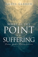 What Is The Point In Suffering From God's Perspective B0DT82BDTD Book Cover